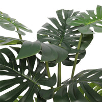 Split Philodendron (Split Leaf) 120cm Kings Warehouse 