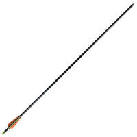 Standard Compound Bow Arrows 30" 0.8 cm Fiberglass 12 pcs Kings Warehouse 