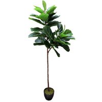 Tall Artificial Fiddle Leaf Fig 170cm Home & Garden > Artificial Plants Kings Warehouse 