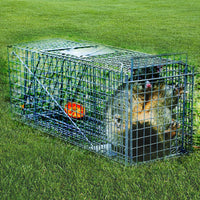Trap Humane Possum Cage Live Animal Safe Catch Rabbit Cat Hare Fox Bird Kings Warehouse 