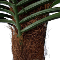 Tropical Phoenix Palm Tree 170cm UV Resistant New Arrivals Kings Warehouse 