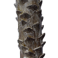 Tropical Phoenix Palm Tree 170cm UV Resistant New Arrivals Kings Warehouse 