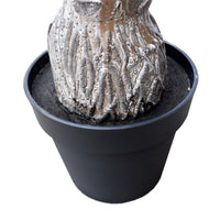 Tropical Phoenix Palm Tree 170cm UV Resistant New Arrivals Kings Warehouse 