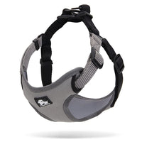 Urban Harness Grey S Kings Warehouse 