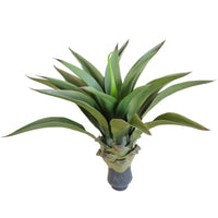 UV Agave 50cm No Pot Artificial Plants Kings Warehouse 