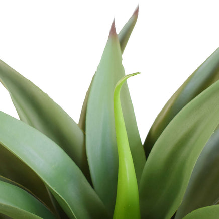 UV Agave 50cm No Pot Artificial Plants Kings Warehouse 