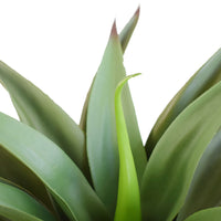 UV Agave 50cm No Pot Artificial Plants Kings Warehouse 