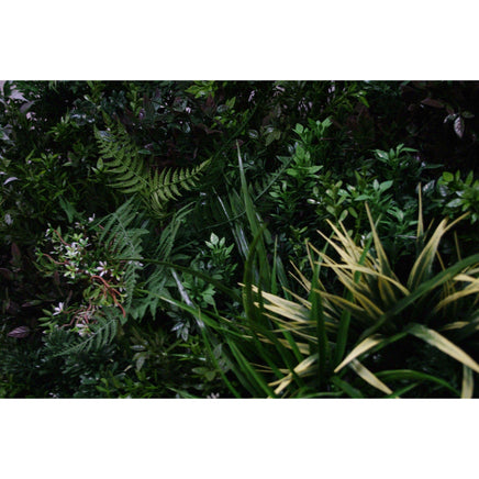 UV Stabilized Green Forest Select Range Vertical Garden 100cm X 100cm Kings Warehouse 