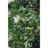 UV Stabilized Green Forest Select Range Vertical Garden 100cm X 100cm Kings Warehouse 
