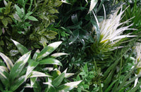 UV Stabilized Tropical Fern Select Range Vertical Garden 100cm X 100cm Kings Warehouse 