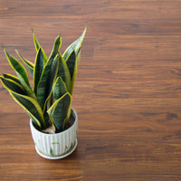Vinyl Floor Tiles Self Adhesive Flooring Walnut Wood Grain 16 Pack 2.3SQM Appliances Supplies Kings Warehouse 