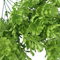 Vivid Green Wide Eucalypts Plant 32cm UV Resistant Artificial Plants Kings Warehouse 