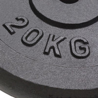 Weight Plates 2 pcs 40 kg Cast Iron Kings Warehouse 