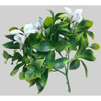 White Flowering Jasmine Stem UV Resistant 30cm Kings Warehouse 