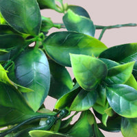 White Flowering Jasmine Stem UV Resistant 30cm Kings Warehouse 