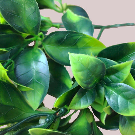 White Flowering Jasmine Stem UV Resistant 30cm Kings Warehouse 