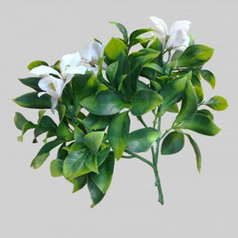White Flowering Jasmine Stem UV Resistant 30cm Kings Warehouse 