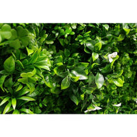 White Oasis Vertical Garden / Green Wall UV Resistant 1m x 1m Kings Warehouse 