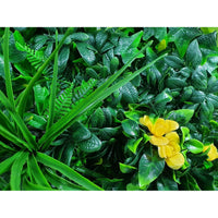 Yellow Rose Vertical Garden / Green Wall UV Resistant 100cm x 100cm Kings Warehouse 