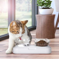 YES4PETS Pet Bowl Water Bowls Portable Anti Slip Skid Feeder Dog Rabbit Cat Kings Warehouse 